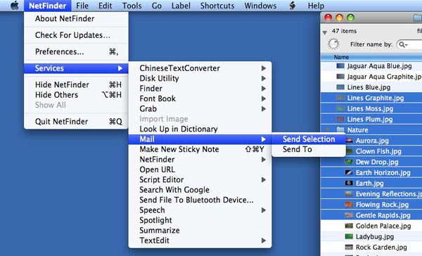 NetFinder services menu